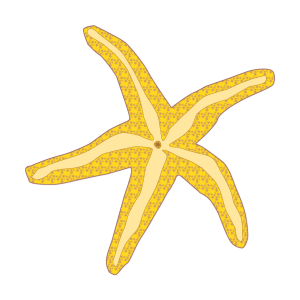 Starfish